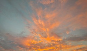 Sunset Rays